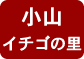 いちごの里