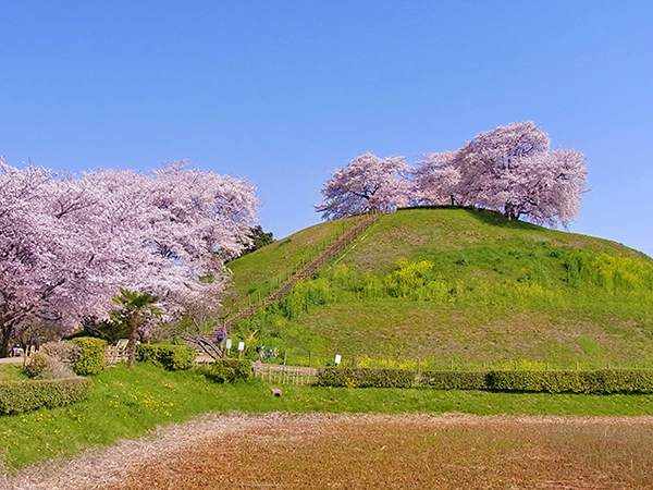 行田さきたま古墳公園