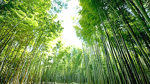 宇都宮 若竹の杜/若山農場